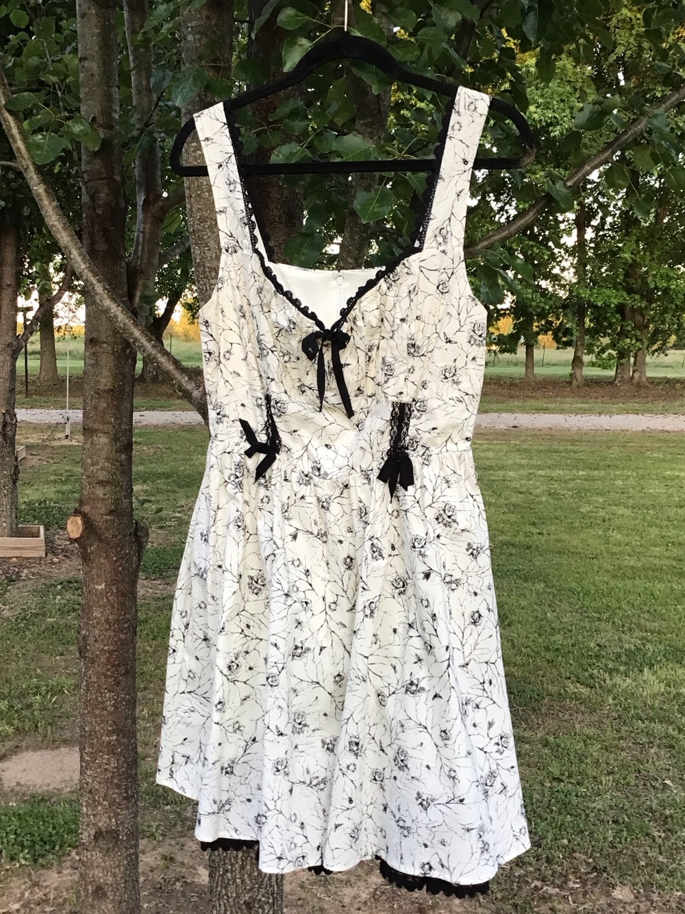 Hot Topic Black and Cream Floral & Bug Print Fit-and-Flare Dress